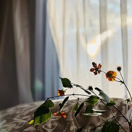 Przyczepa Kempingowa Pomello