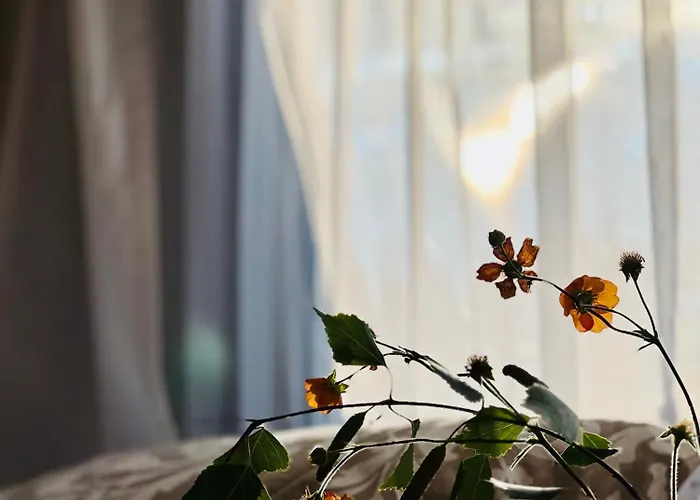 Przyczepa Kempingowa Pomello